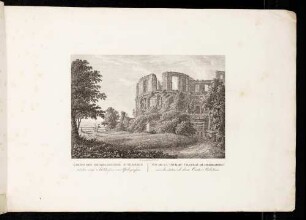 Heidelberger Schloss, der Dicke Turm