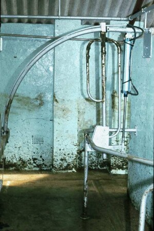 Fotografie: Melkstand, Milchviehhaltung