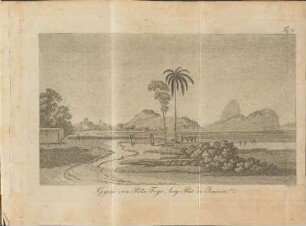 Taf. 6.: Gegend von Pota Fogo, bey Rio de Janeiro