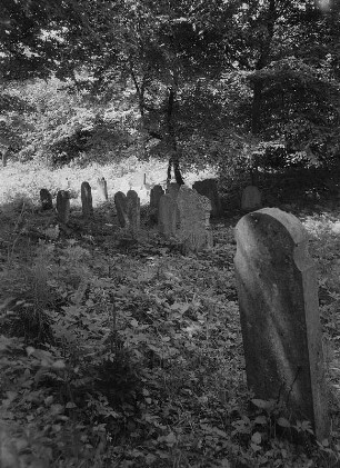 Brandshagen-Niederhof. Jüdischer Friedhof in Niederhof