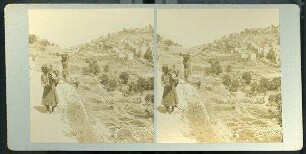 Siloan General View. [Siloah]