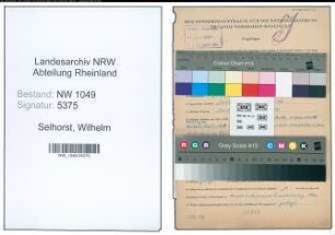 Entnazifizierung Wilhelm Selhorst , geb. 04.10.1897 (Kaufmaennischer Angestellter)