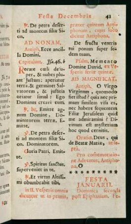 41-62, Festa Januarii