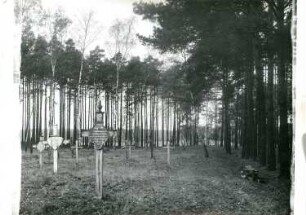 Boxberg-Sprey. Ehemaliger Friedhof. Blick auf Grabkreuze
