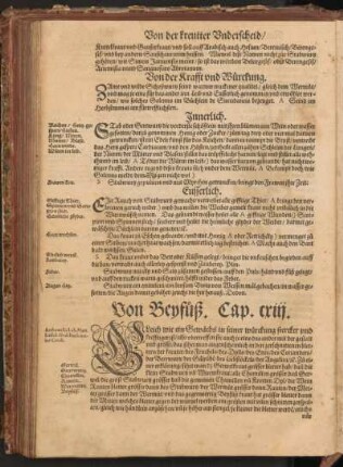 Von Beyfuß, Cap. CXIII