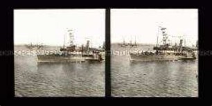Flotte und Personendampfer bei Blankenese