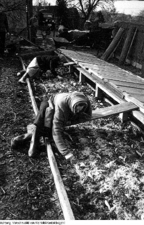 Dresden, Kaditz. Gärtnerische Produktionsgenossenschaft (GPG) Gartenbau Kaditz, Arbeit in den Gewächshäusern, 1959