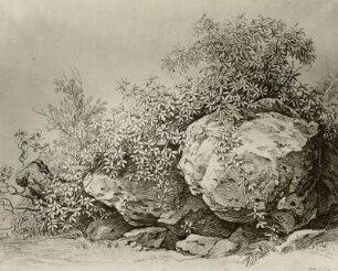 Felsen und Buschwerk bei Ternis