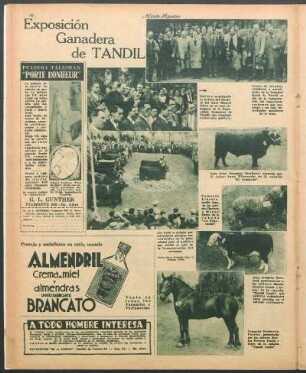 Exposición ganadera de Tandil [Fotografías]