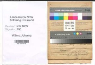 Entnazifizierung Johanna Willms , geb. 02.08.1907 (Serviererin)