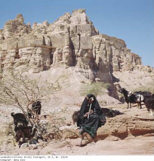Salma und Salam - Sinai - Familie Salem