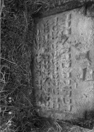 Grabstein 102 (Index: 100107320) Material: heller Sandstein Zustand: stark verwittert und bewachsen, eingesunken Maße HxBxT: 63x65x11 cm Beschreibung: Stele mit eingezogenem Rundbogenabschluß, Schriftfeld eingetieft: Grabstein 102A