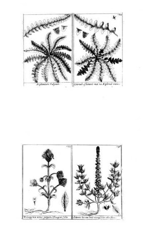 1043-1046
