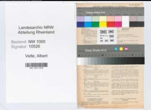 Entnazifizierung Albert Velte, geb. 01.06.1891 (Kaufmann)