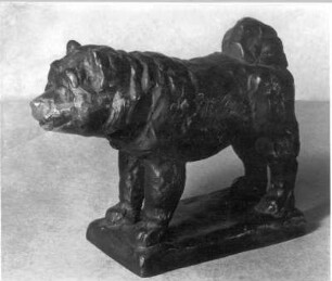 Stehender Hund (Chow-Chow) : Chinesischer Hund Tschau-Tschau (Chow-Chow). Bronze (vor 1952; E. Richter). Dresden-Striesen, Borsbergstraße 11, Atelier der Künstlerin