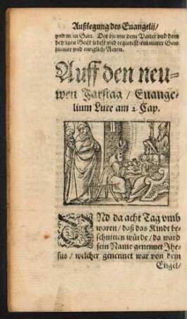 Auff den neuwen Jarstag ...