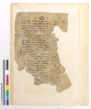 Matt. XII, 31 - 34