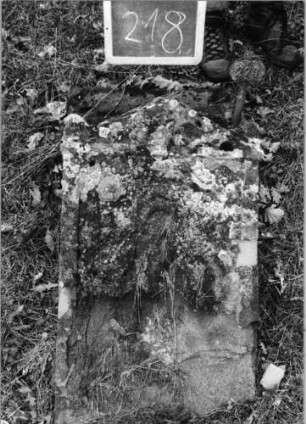 Grabstein 218 (Index: 100090561) Material: Sandstein Zustand: beschäd/verwitt/völliger Textverlust Maße HxBxT: 110x50x0 cm Beschreibung: Stele, giebelartiger Abschluß mit Eckakroteren, rechteckiges Schriftfeld eingetief: Grabstein 218
