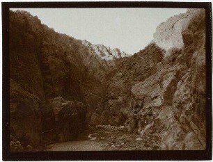 w. [wadi] sle unterhalb der Klamm [Wadi sle]