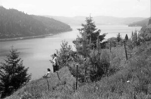 Blick auf den Schluchsee