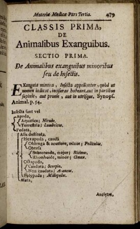 Classis Prima, De Animalibus Exanguibus.