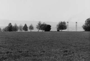 Blick zur Elbe