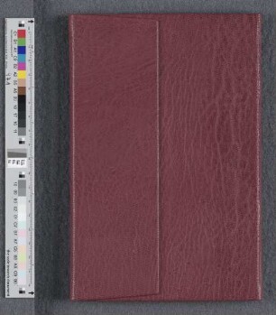 [Diwan] : Cod. orient. 256