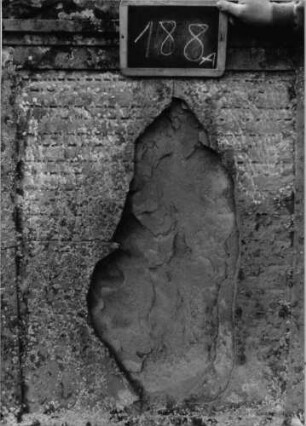 Grabstein 188 (Index: 100090514) Material: Sandstein Zustand: verwitt/Schriftfeld zu 1/3 weggebrochen Maße HxBxT: 142x80x14 cm Beschreibung: Stele, Sockel, Giebel mit Eckakroteren, rechteckiges Schriftfeld eingetieft Symbolik: Wellenmuster/Blätter in den Akroteren: Grabstein 188A