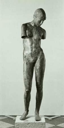 Stehende, Torso