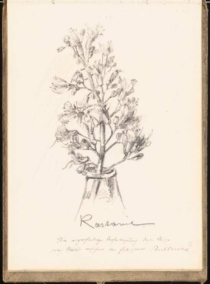 Skizzenbuch 1899: Kastanienzweig in einer Vase