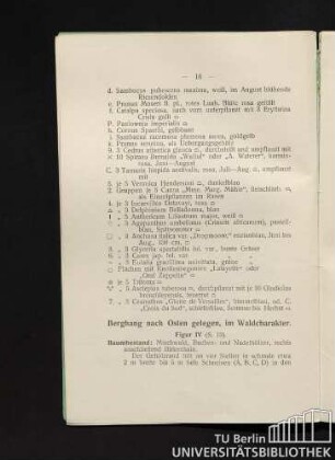 Berghang nach Osten gelegen, im Waldcharakter. Figur IV.