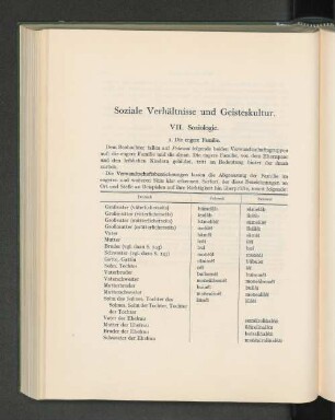 VII. Soziologie.