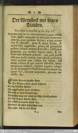 Der Weinstock mit seinen Trauben. Cato Major de Senectute ap. Cic. Cap. XV