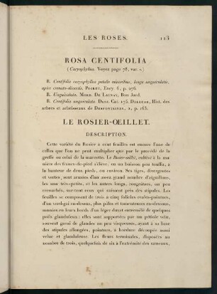 113-114, Rosa Centifolia (Caryophyllea.) Le Rosier-Oeillet.