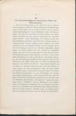III. Die Kernteilungsfiguren am hinteren Ende des Medullarrohrs.