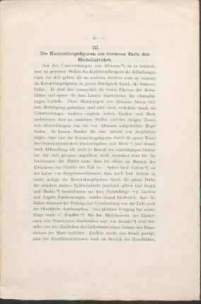 III. Die Kernteilungsfiguren am hinteren Ende des Medullarrohrs.