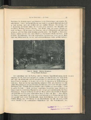 Abb. 20. Urwald. Station Sangerawe. Prinz-Albrecht-Plantagen.