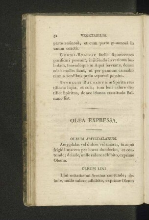 Olea expressa.