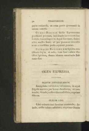 Olea expressa.