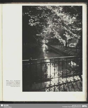 Alleen im Düsseldorfer Hofgarten