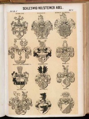 Taf. 11. Gunolach. - Gusmann. - Gusman et Buëno. - Gutschmidt, Fhr. - Gyldenfeldt. - Harbou. - Heintze-Weissenrode, Fhr. - Hildebrand. - Hobe, Fhr. - Gelting, Fhr. - Hoegh (alt). - Hoegh