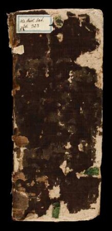 Vita sancti Liudgeri : Ms. theol. lat. fol. 323
