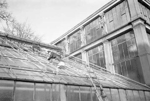 Instandsetzung der Glasflächen am Kakteen- und Tropenhaus des Botanischen Gartens