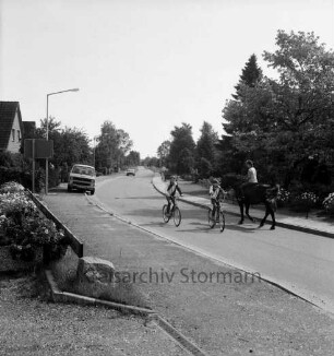 Wiemerskamp: Wiemerskamper Weg / Pfingsthorst: vorn rechts Einfahrt mit Zaun, Feldstein und Blumen: dahinter parkender VW-Bus, Pkw und Häuser hinter Bäumen: in der Mitte zwei Kinder auf Fahrrädern: rechts davon Reiterin beim Queren der Straße: dahinter Blumenrabatten, Büsche und Bäume