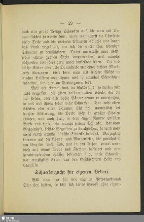 Schneckenzucht für eigenen Bedarf