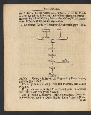 § 11. Stamm-Taffel der Stregow-Dobberpfuhlschen Linie