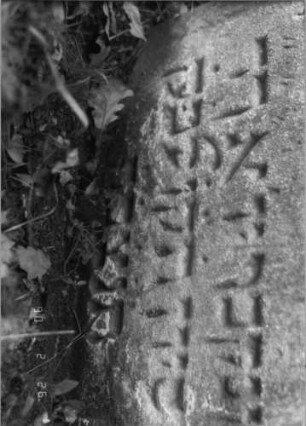 Grabstein 517 (Index: 100115449) Material: Sandstein Zustand: verwittert Maße HxBxT: 75x53x11 cm Beschreibung: Stele mit Rundbogenabschluß, eingetieftes Schriftfeld: Grabstein 517A
