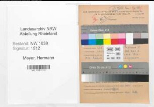 Entnazifizierung Hermann Meyer , geb. 11.07.1899 (Apotheker)