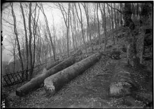 Miltenberg Landschaftsbild Heunensäulen am Osthang des Mainbullacher Berges