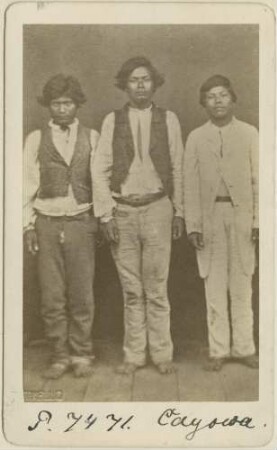 Guarani Kaiowá - Indianer